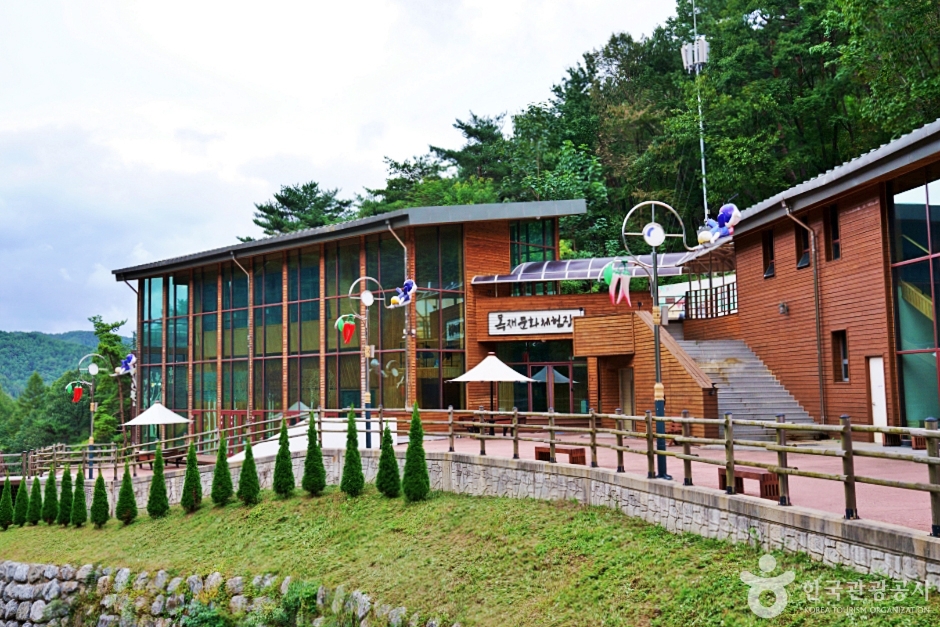 흥림산자연휴양림 (영양에코둥지) 여행 추천 - 메고지고 흥림산자연휴양림 (영양에코둥지) 여행 추천 - 메고지고