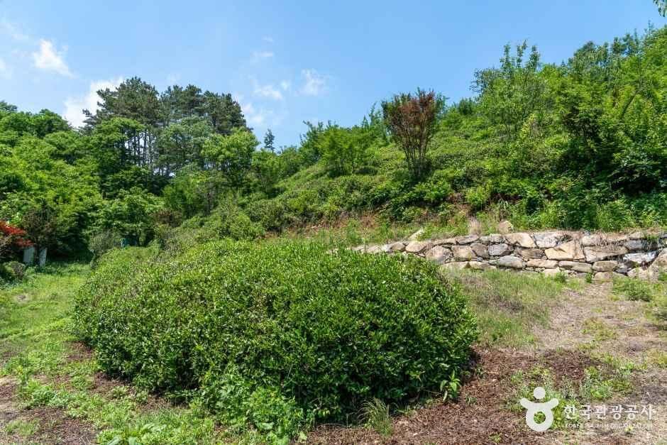 온직다원 여행 추천 - 메고지고 온직다원 여행 추천 - 메고지고