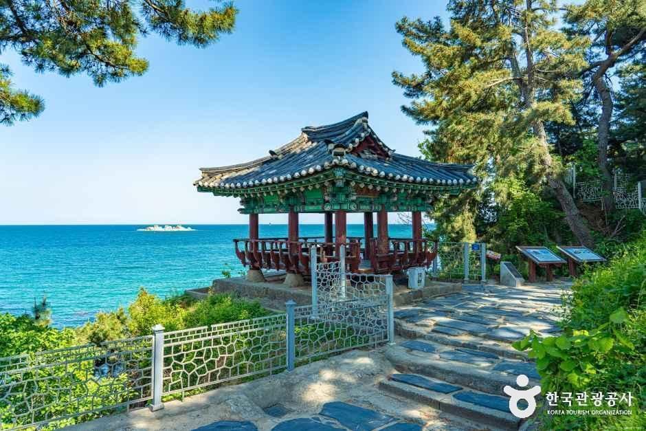 [해파랑길] 46코스 여행 추천 - 메고지고