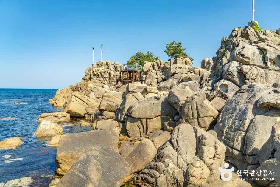 [해파랑길] 46코스 여행 추천 - 메고지고