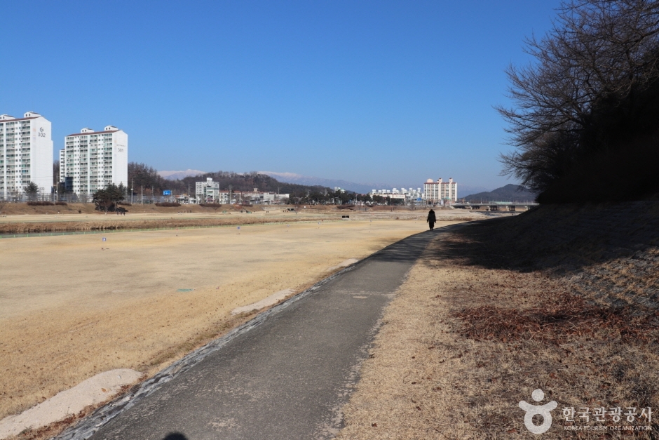 서천둔치(영주) 여행 추천 - 메고지고 서천둔치(영주) 여행 추천 - 메고지고