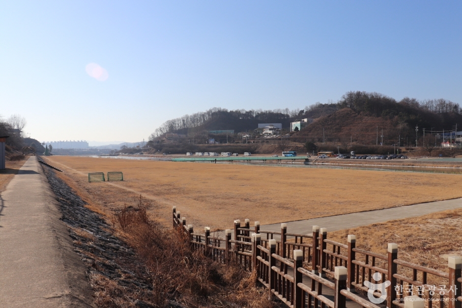 서천둔치(영주) 여행 추천 - 메고지고 서천둔치(영주) 여행 추천 - 메고지고