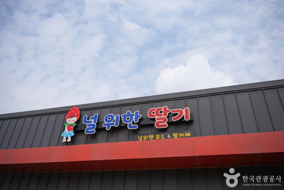 널위한딸기농장 여행 추천 - 메고지고 널위한딸기농장 여행 추천 - 메고지고