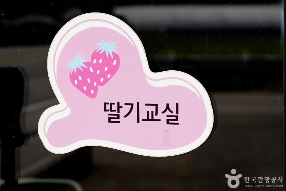 널위한딸기농장 여행 추천 - 메고지고 널위한딸기농장 여행 추천 - 메고지고