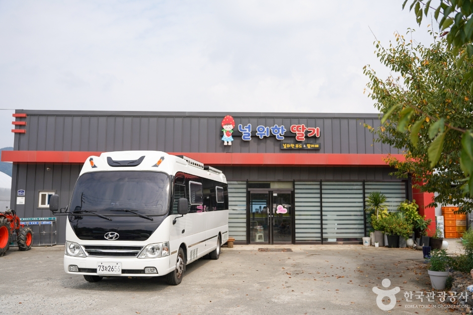 널위한딸기농장 여행 추천 - 메고지고 널위한딸기농장 여행 추천 - 메고지고