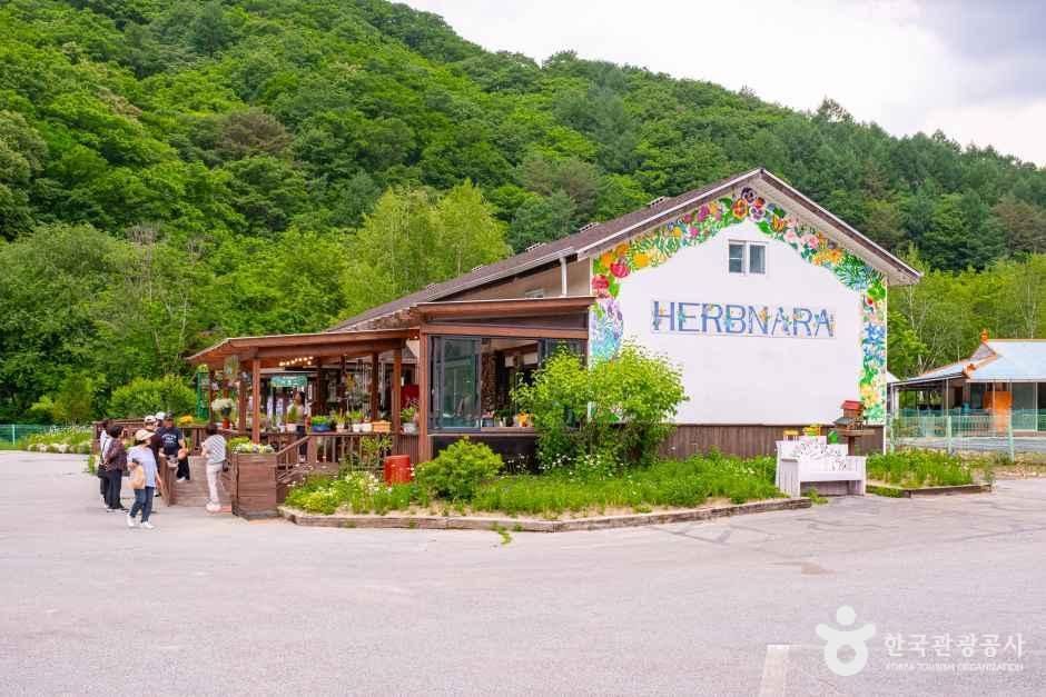 허브나라농원 여행 추천 - 메고지고 허브나라농원 여행 추천 - 메고지고