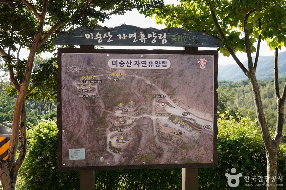 미숭산자연휴양림 여행 추천 - 메고지고 미숭산자연휴양림 여행 추천 - 메고지고