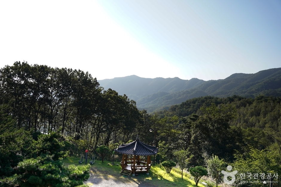 미숭산자연휴양림 여행 추천 - 메고지고 미숭산자연휴양림 여행 추천 - 메고지고