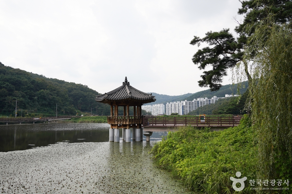 검성지 생태공원 여행 추천 - 메고지고 검성지 생태공원 여행 추천 - 메고지고