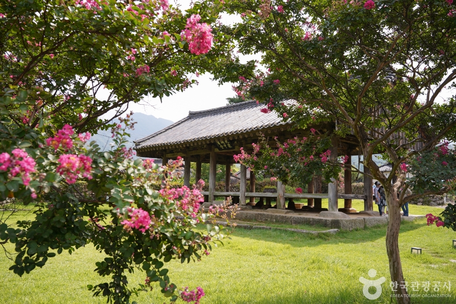 한밤마을 돌담길 여행 추천 - 메고지고 한밤마을 돌담길 여행 추천 - 메고지고