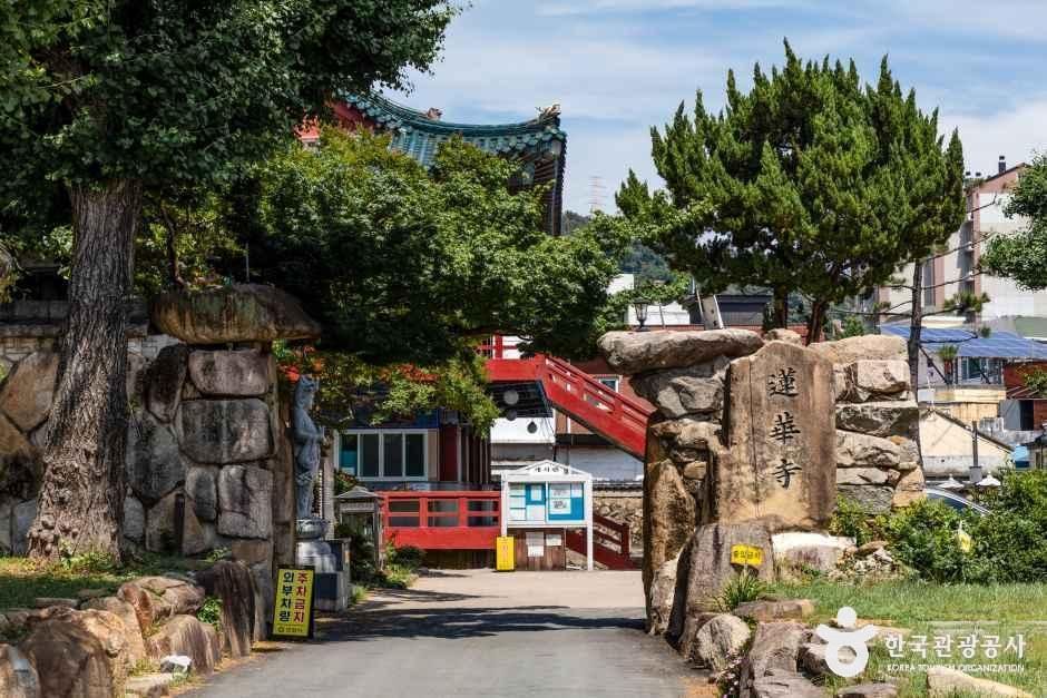 연화사(김해) 여행 추천 - 메고지고 연화사(김해) 여행 추천 - 메고지고