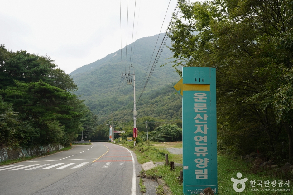 국립 운문산자연휴양림 여행 추천 - 메고지고 국립 운문산자연휴양림 여행 추천 - 메고지고