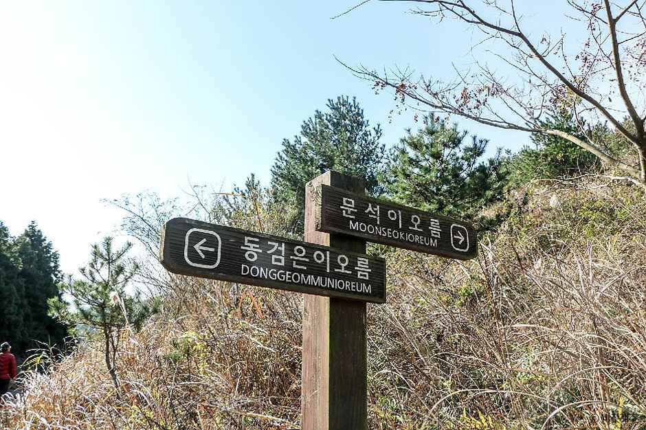 동검은이오름 여행 추천 - 메고지고 동검은이오름 여행 추천 - 메고지고