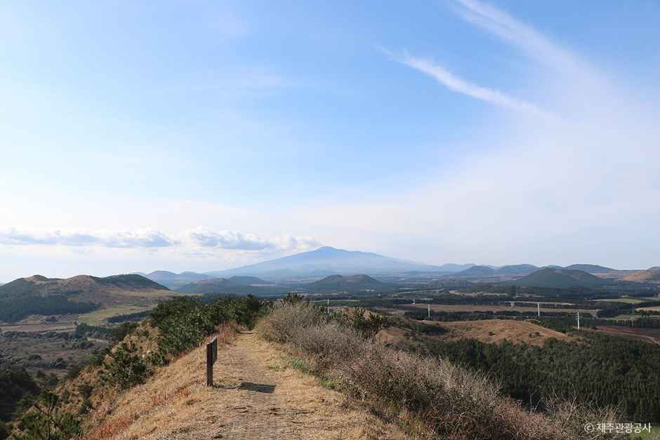동검은이오름 여행 추천 - 메고지고 동검은이오름 여행 추천 - 메고지고