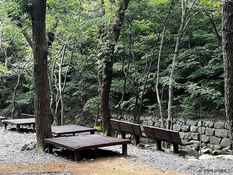 성주산자연휴양림 여행 추천 - 메고지고