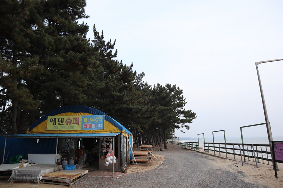 몽산포오토캠핑장2구역 여행 추천 - 메고지고