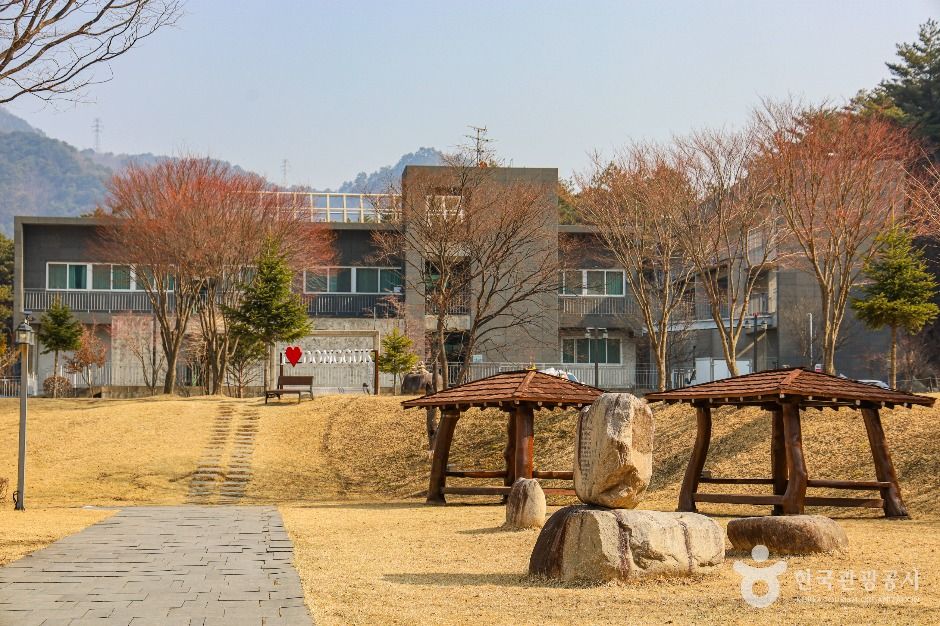 만해마을 여행 추천 - 메고지고 만해마을 여행 추천 - 메고지고