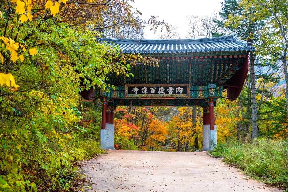 백담사 여행 추천 - 메고지고