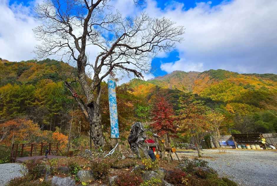 그린필로우 여행 추천 - 메고지고 그린필로우 여행 추천 - 메고지고