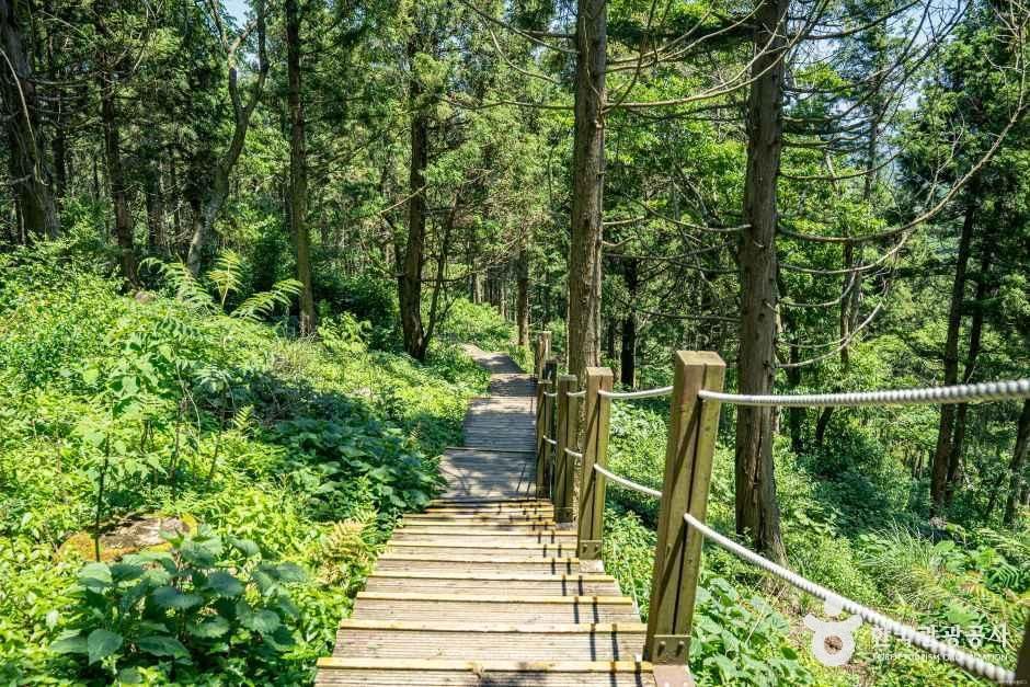 거문오름 여행 추천 - 메고지고 거문오름 여행 추천 - 메고지고