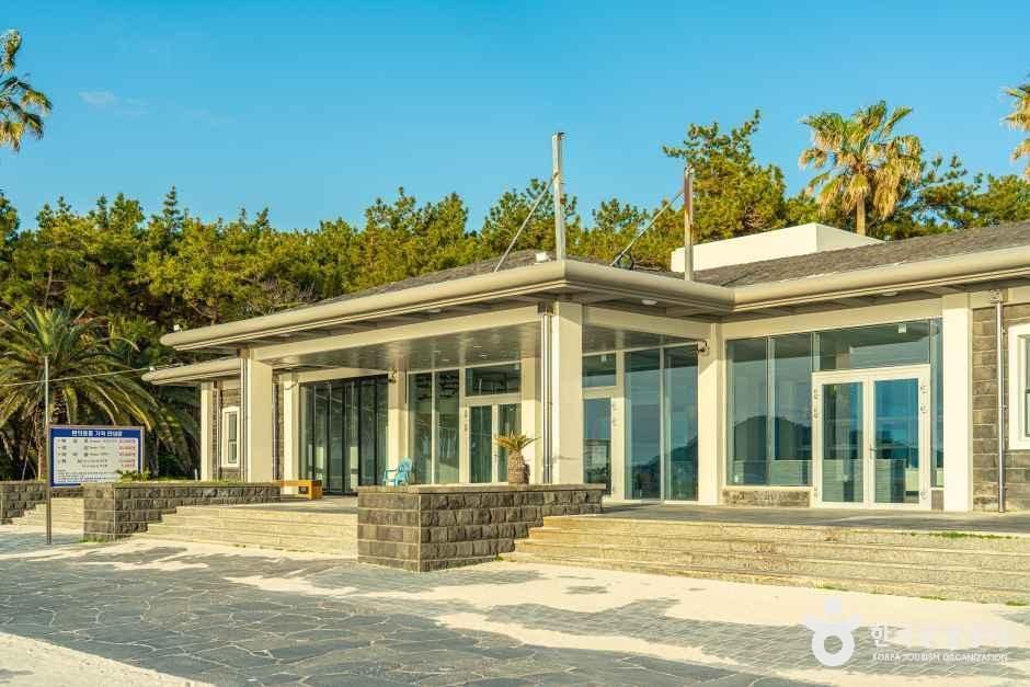 금능해수욕장 야영장 여행 추천 - 메고지고