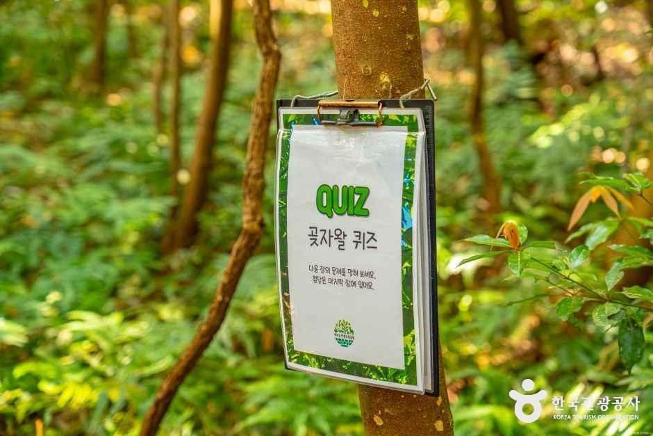 제주곶자왈도립공원 여행 추천 - 메고지고
