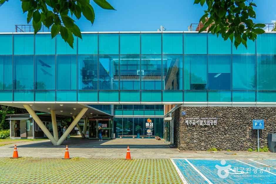 제주곶자왈도립공원 여행 추천 - 메고지고
