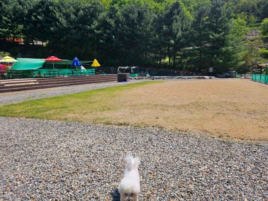 양주 감악산 캠핑장 여행 추천 - 메고지고