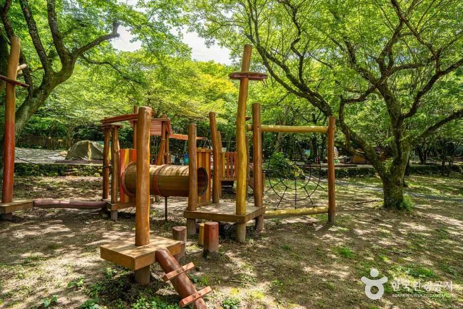 관음사야영장 여행 추천 - 메고지고
