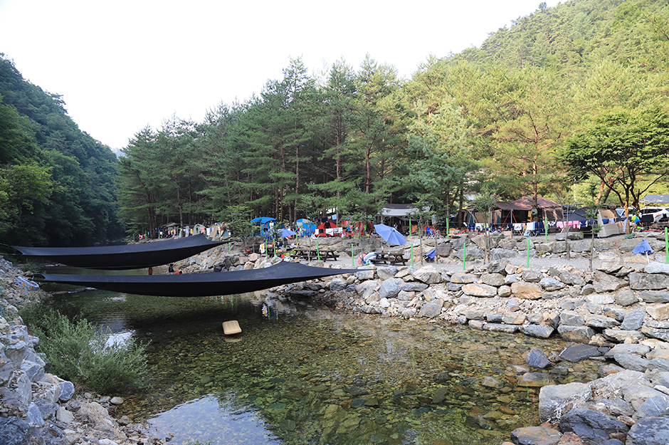 도원패밀리캠핑장 여행 추천 - 메고지고 도원패밀리캠핑장 여행 추천 - 메고지고