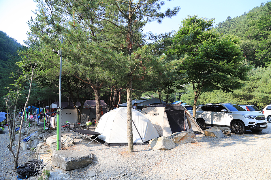 도원패밀리캠핑장 여행 추천 - 메고지고 도원패밀리캠핑장 여행 추천 - 메고지고