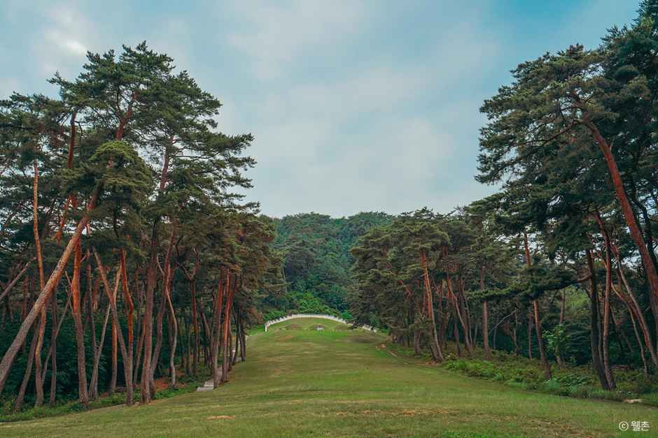 춘천 박사마을 여행 추천 - 메고지고 춘천 박사마을 여행 추천 - 메고지고