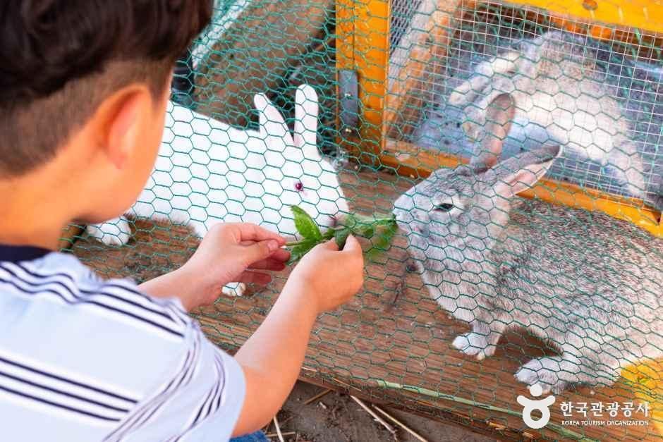 숨쉴꽃 허브 체험농장 여행 추천 - 메고지고