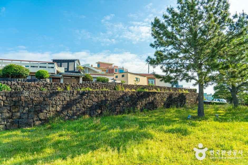 서귀진지 여행 추천 - 메고지고 서귀진지 여행 추천 - 메고지고
