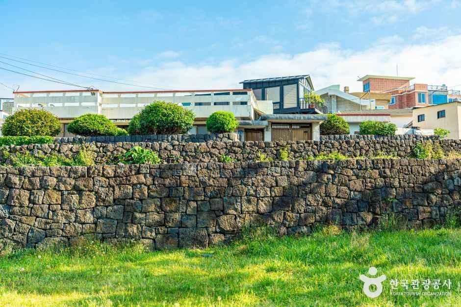 서귀진지 여행 추천 - 메고지고 서귀진지 여행 추천 - 메고지고