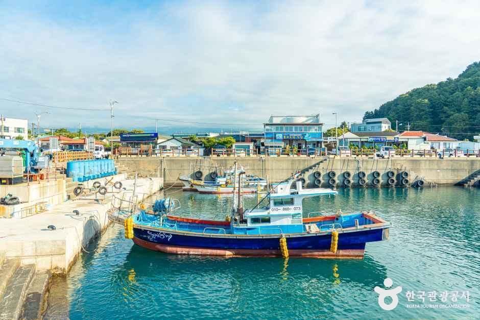 보목마을 여행 추천 - 메고지고 보목마을 여행 추천 - 메고지고