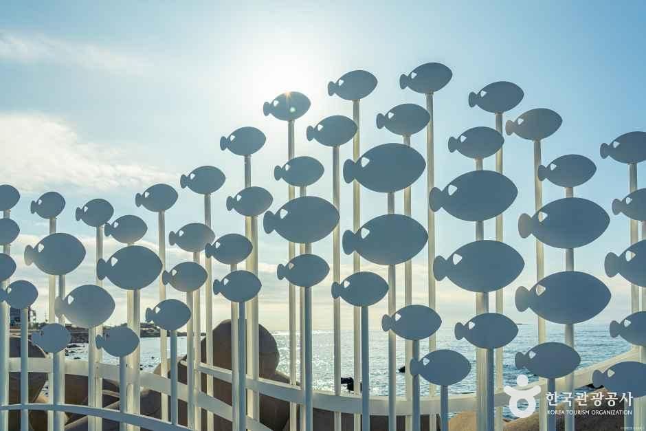 보목마을 여행 추천 - 메고지고 보목마을 여행 추천 - 메고지고