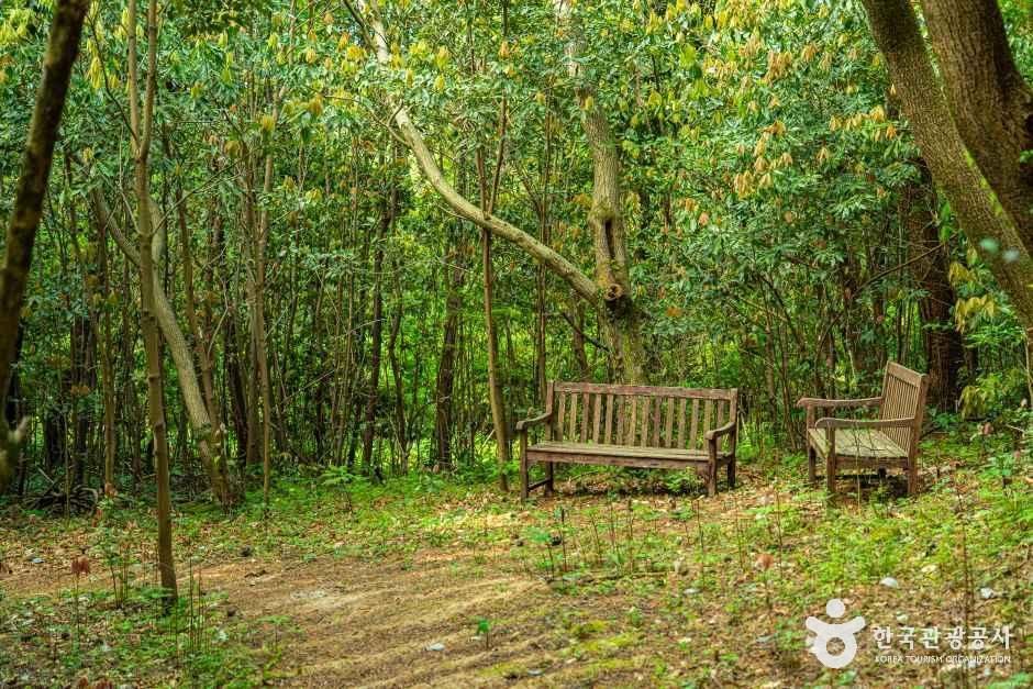 고배기동산 여행 추천 - 메고지고 고배기동산 여행 추천 - 메고지고