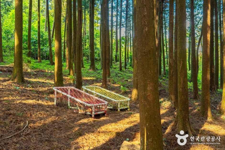 고배기동산 여행 추천 - 메고지고 고배기동산 여행 추천 - 메고지고