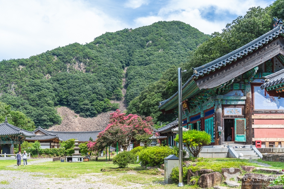 반야사(영동) 여행 추천 - 메고지고
