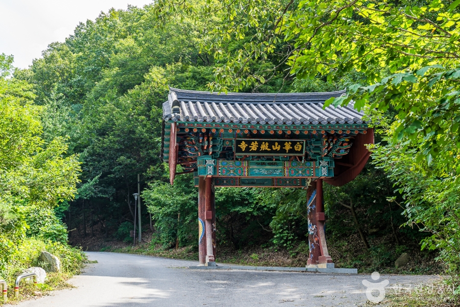 반야사(영동) 여행 추천 - 메고지고