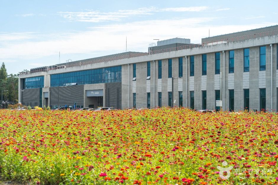충주탄금공원 여행 추천 - 메고지고 충주탄금공원 여행 추천 - 메고지고