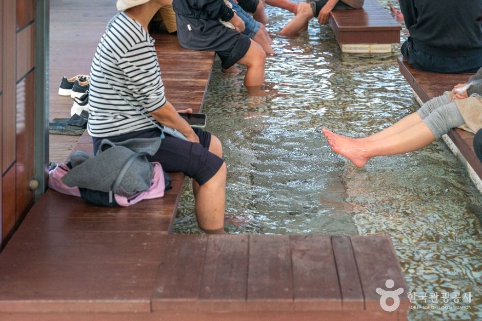 수안보온천 관광특구 여행 추천 - 메고지고 수안보온천 관광특구 여행 추천 - 메고지고