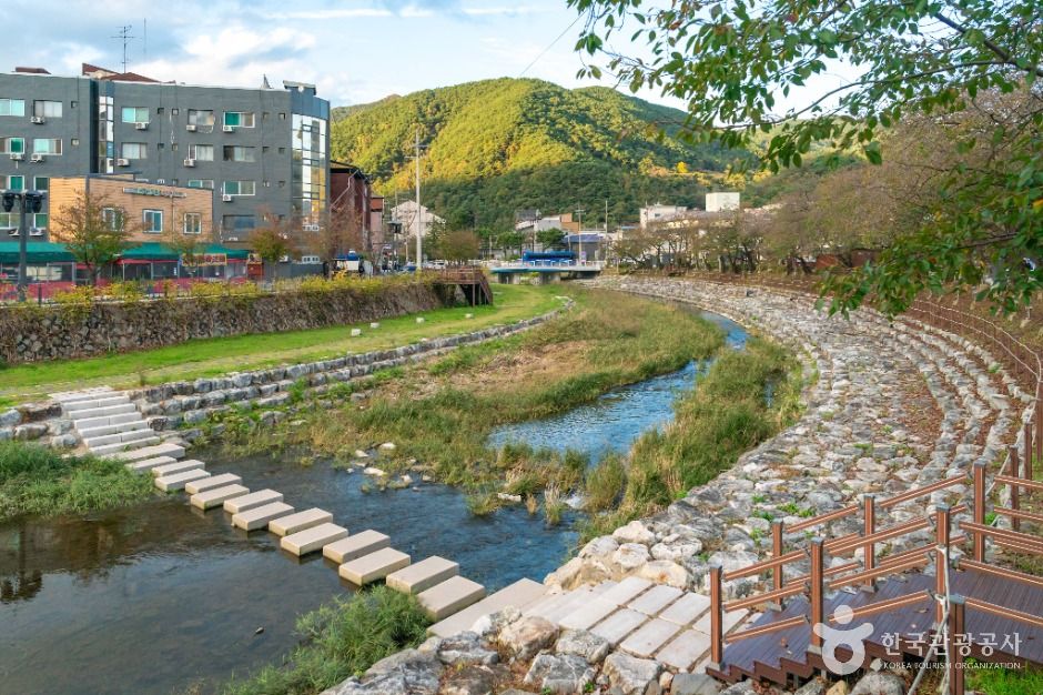수안보온천 관광특구 여행 추천 - 메고지고 수안보온천 관광특구 여행 추천 - 메고지고