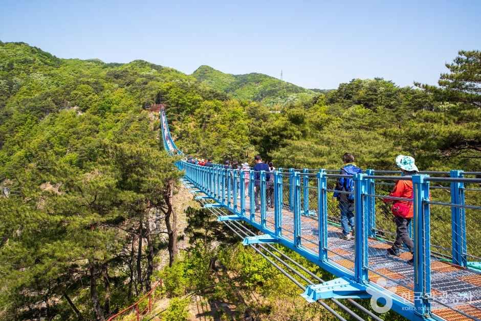 소금산그랜드밸리 여행 추천 - 메고지고 소금산그랜드밸리 여행 추천 - 메고지고