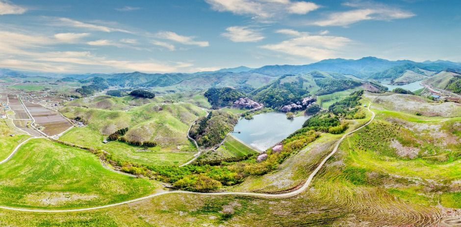 서산한우목장 웰빙산책로 여행 추천 - 메고지고 서산한우목장 웰빙산책로 여행 추천 - 메고지고
