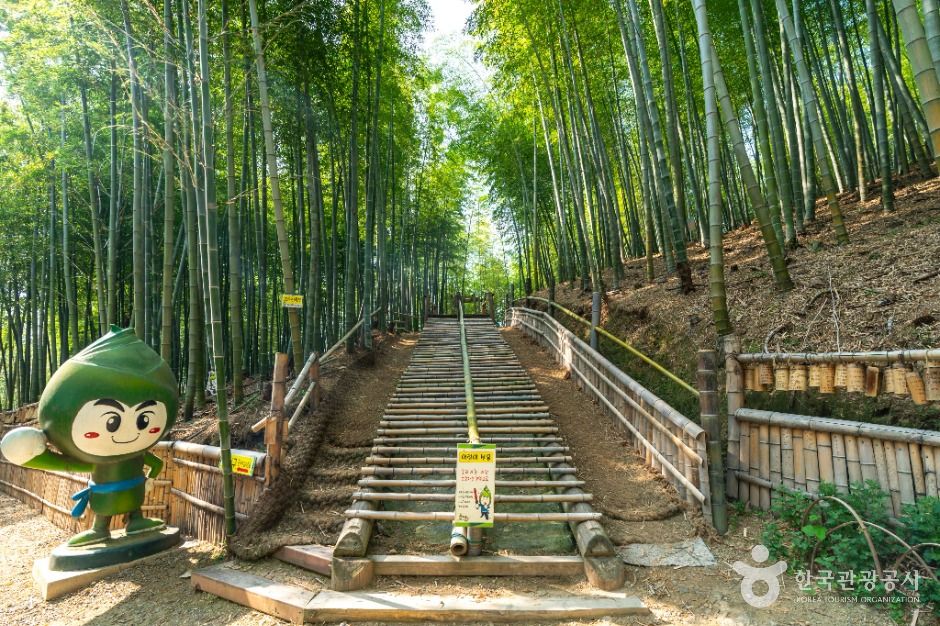 거제맹종죽테마공원 여행 추천 - 메고지고 거제맹종죽테마공원 여행 추천 - 메고지고