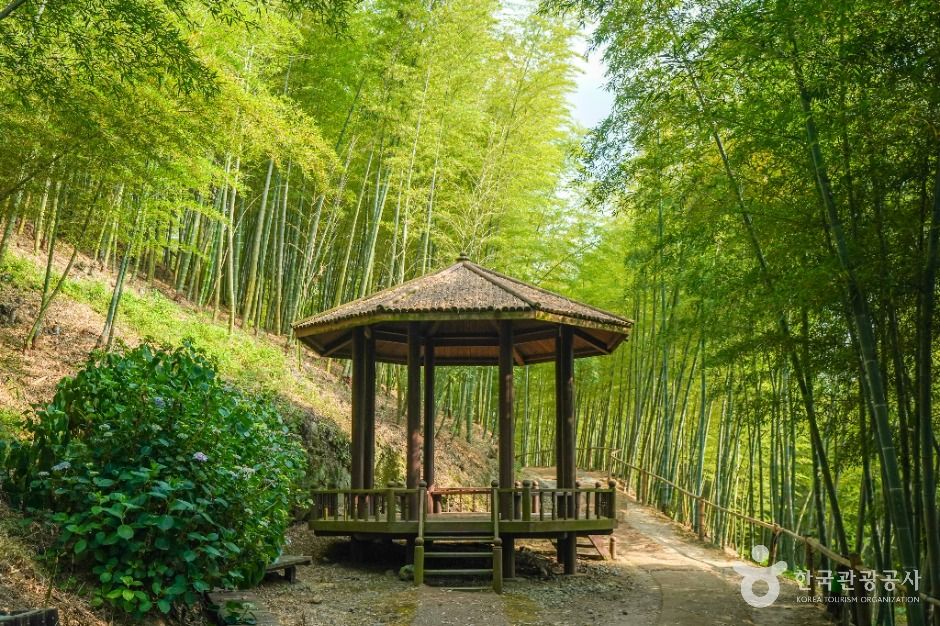 거제맹종죽테마공원 여행 추천 - 메고지고 거제맹종죽테마공원 여행 추천 - 메고지고
