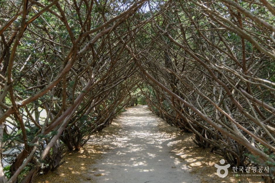 벽초지수목원 여행 추천 - 메고지고