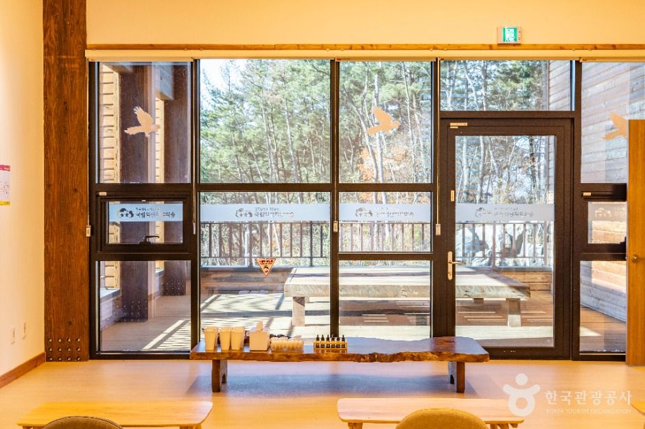 국립익산치유의숲 여행 추천 - 메고지고 국립익산치유의숲 여행 추천 - 메고지고